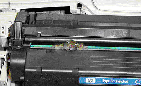 MouseInPrinter