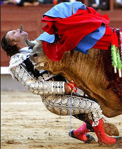 Matador