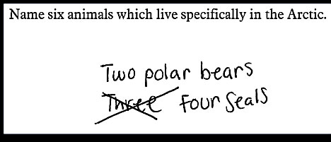 polarBearsandseals