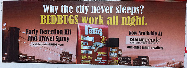 BedBugs2