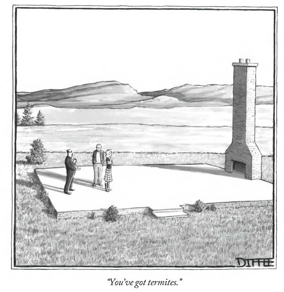 Termites