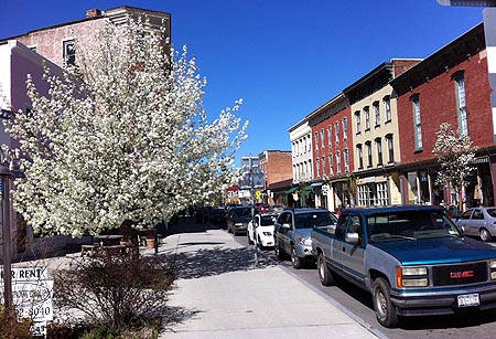ChathamBradfordPear