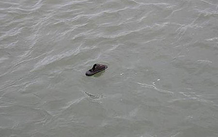 FloatingShoe