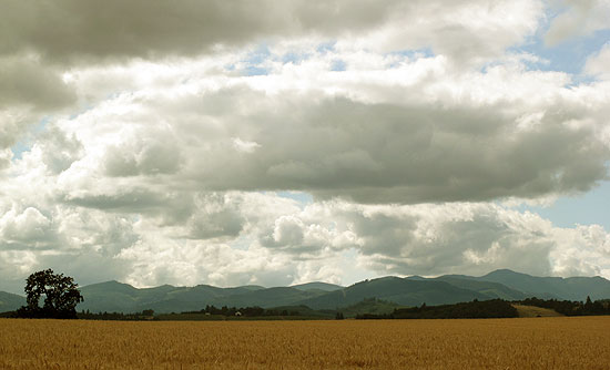 OregonVista