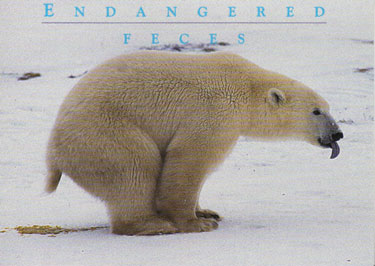 endangered_feces