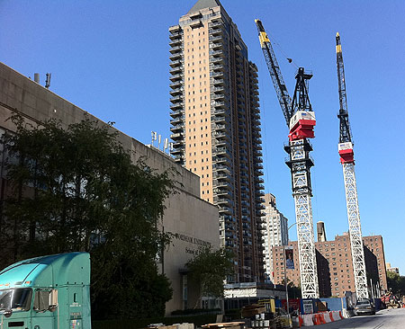 Cranes1