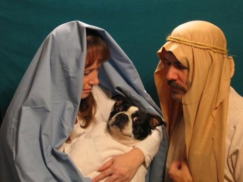 ChristmasCard