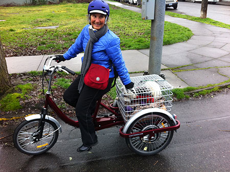 Trike1