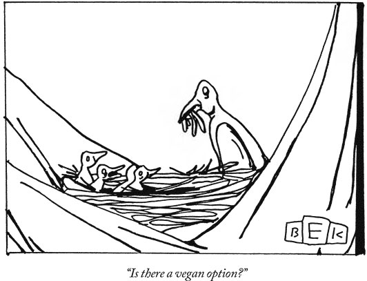 VeganOPtion