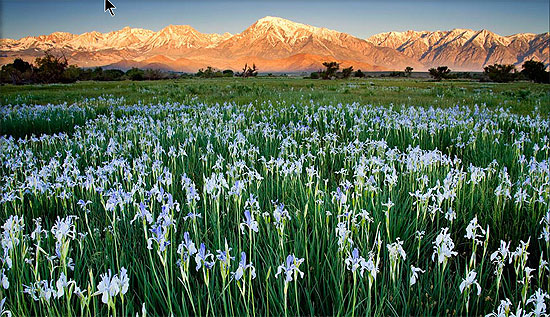 Scenic395dotcom