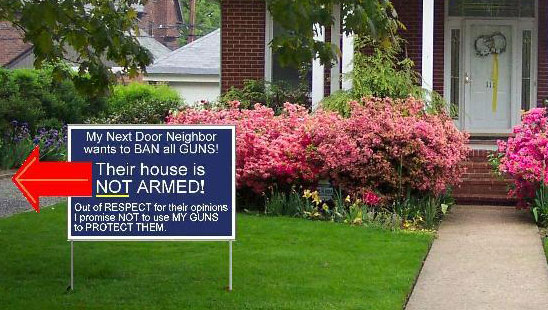 BanGuns