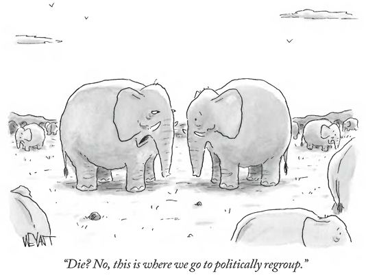 PoliticallyRegroup