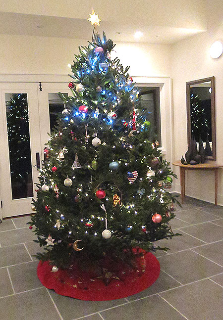 NewtonChristmasTree