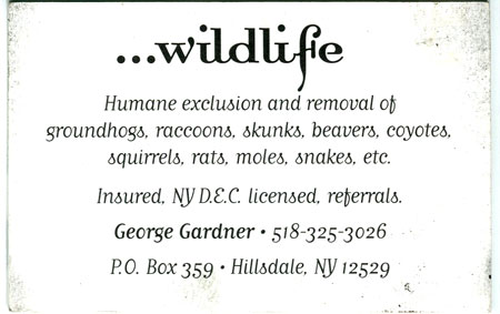 Wildlife2