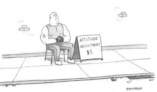 Attitude