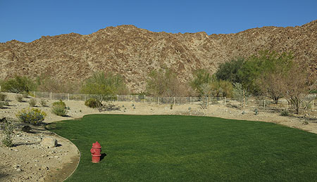 DogRun