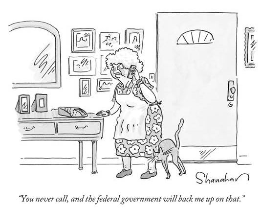 FeddGovernment