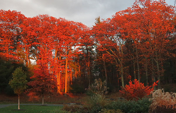 CountryColors