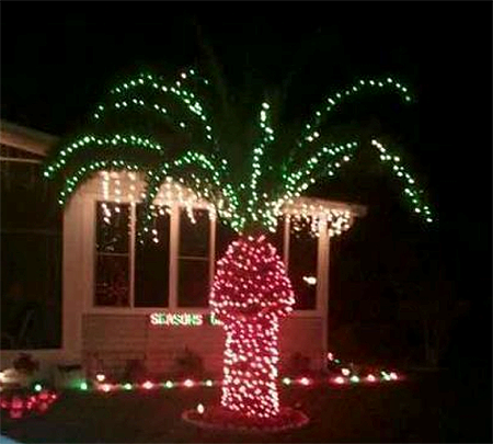PalmTreeChristmas