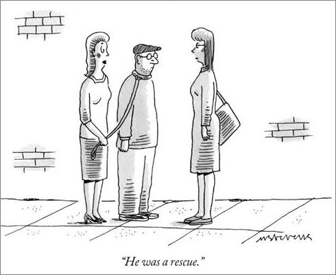 Rescue