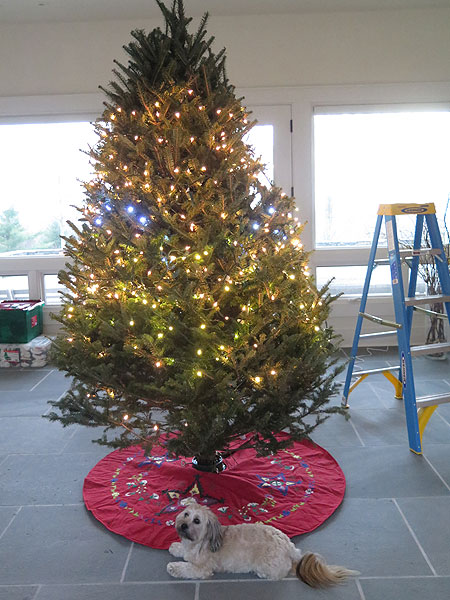 ChristmasTree2013