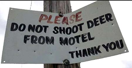 DoNotShootDeerfromHotel