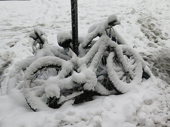 BicylinginNewYorkSnow