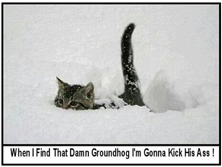 KickhisAss