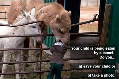 Eatenbyacamel