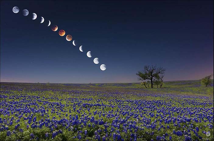BloodOrangeMoon