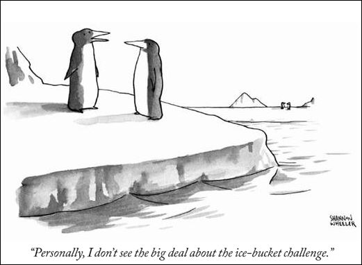 IceBucketChallenge