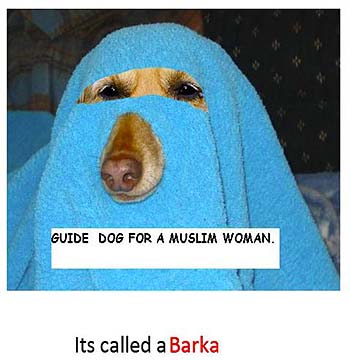 Barka