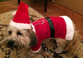 RosieAsSanta