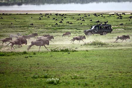 Tanzania