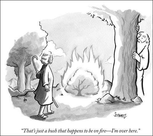 Burningbush