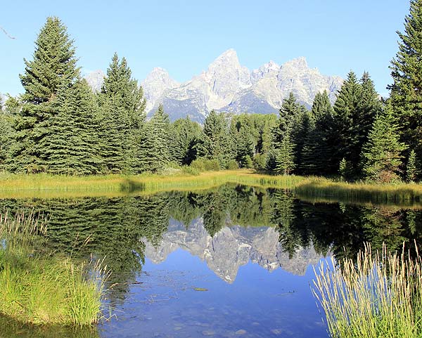Grand Teton NP 2- Schwabacker's Landing - 8-11-15