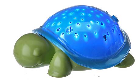Turtle