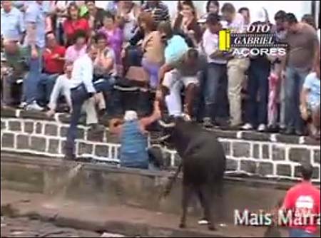 bullfight3