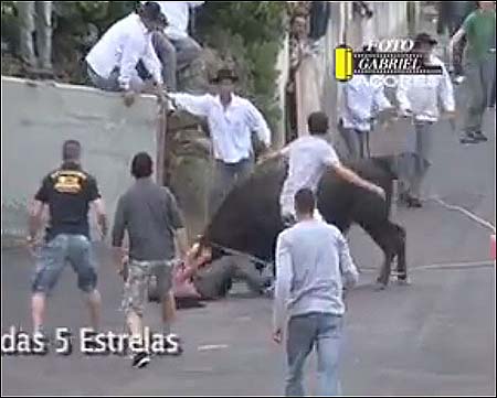 bullgith2