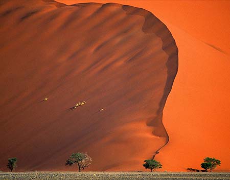 nambia