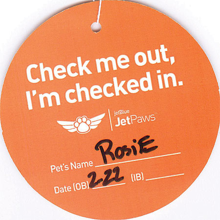 RosieCheckIn