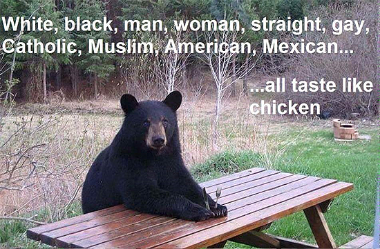 chicken