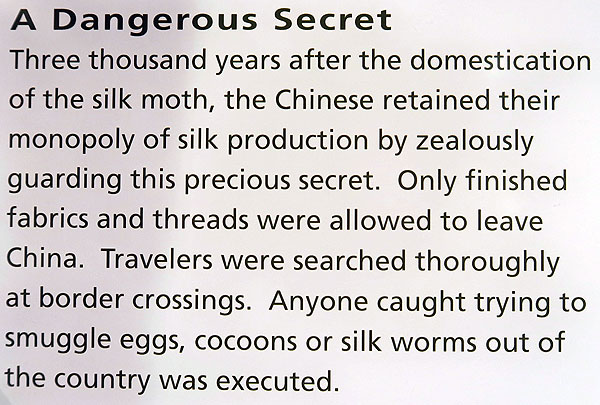 ADangerousSecret
