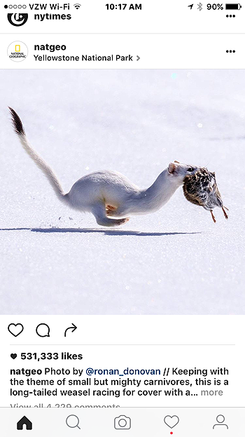 natgeo