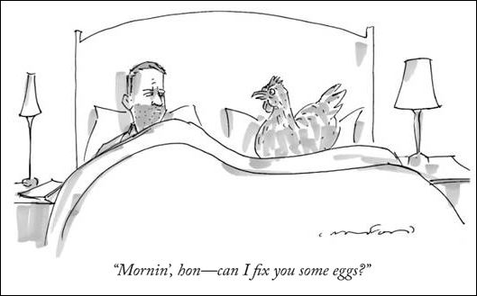 eggs