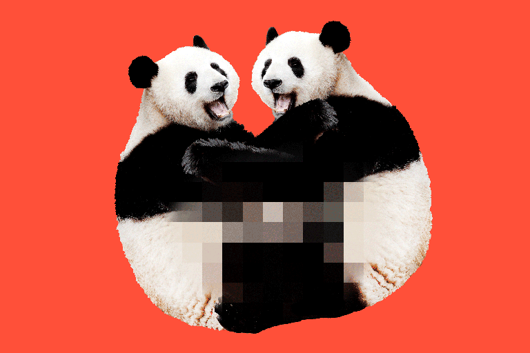00wit_china-panda-sex-master768-v2