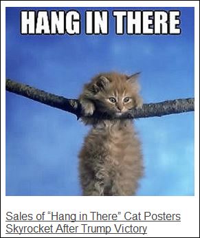 catposters