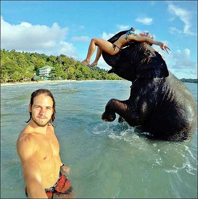 elephant