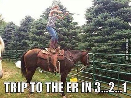 triptotheer