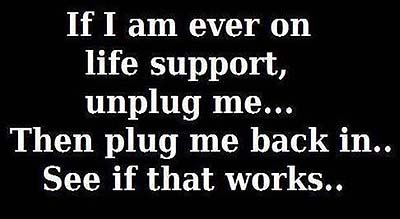 plugmebackin